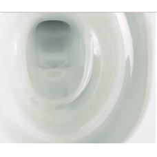 Cleaning Your TOTO Toilet